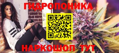 шишки Партизанск