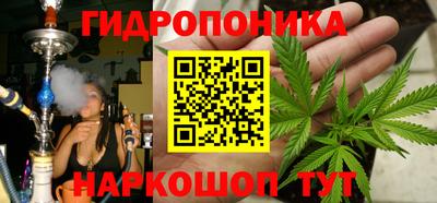шишки Партизанск