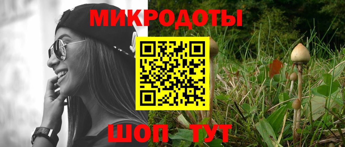 Амурск  где купить   Вход с VPN  Псилоцибиновые грибы Psilocybe 