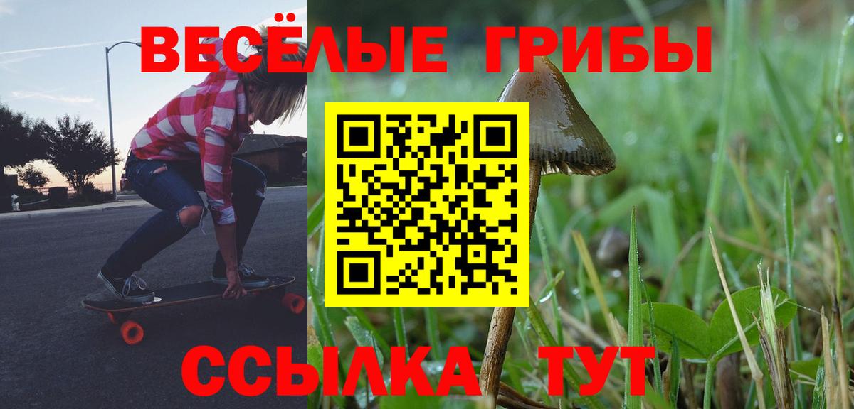 Галлюциногенные грибы мицелий Амурск